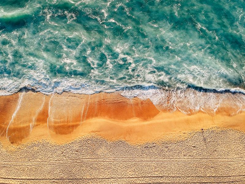 De Tarnos à Vieux-Boucau, les interminables étendues des plages landaises s'offrent à vous.