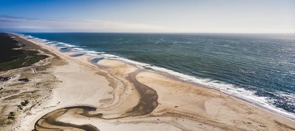 Découverte du Sud Landes : 5 richesses naturelles méconnues