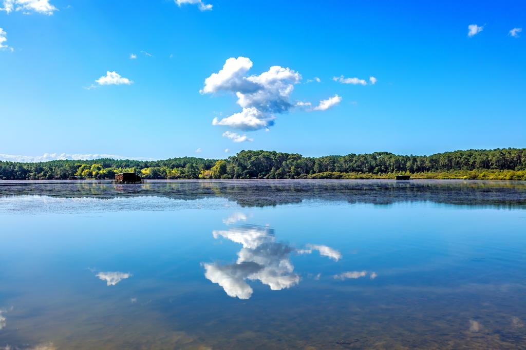 Immobilier à Tosse : le sud des Landes préservé et accessible