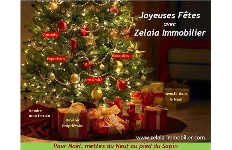 Joyeuses Fêtes avec Zelaia Immobilier