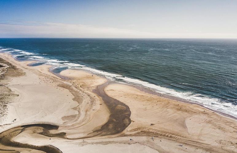 Découverte du Sud Landes : 5 richesses naturelles méconnues