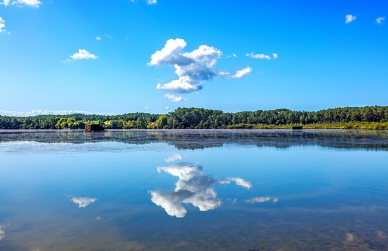Immobilier à Tosse : le sud des Landes préservé et accessible