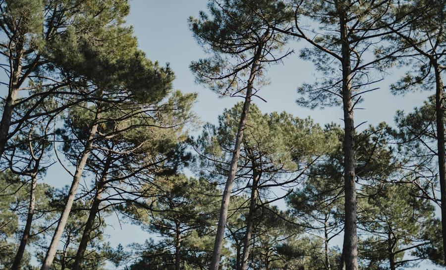 EDEN à Tosse